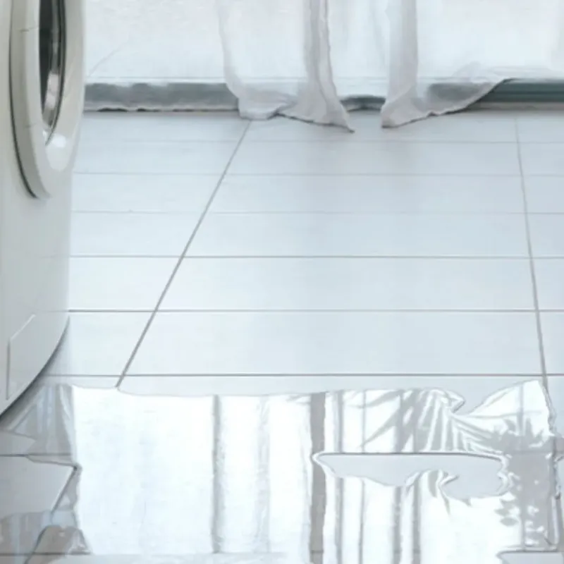 Appliance Leak Cleanup in Nixa, MO