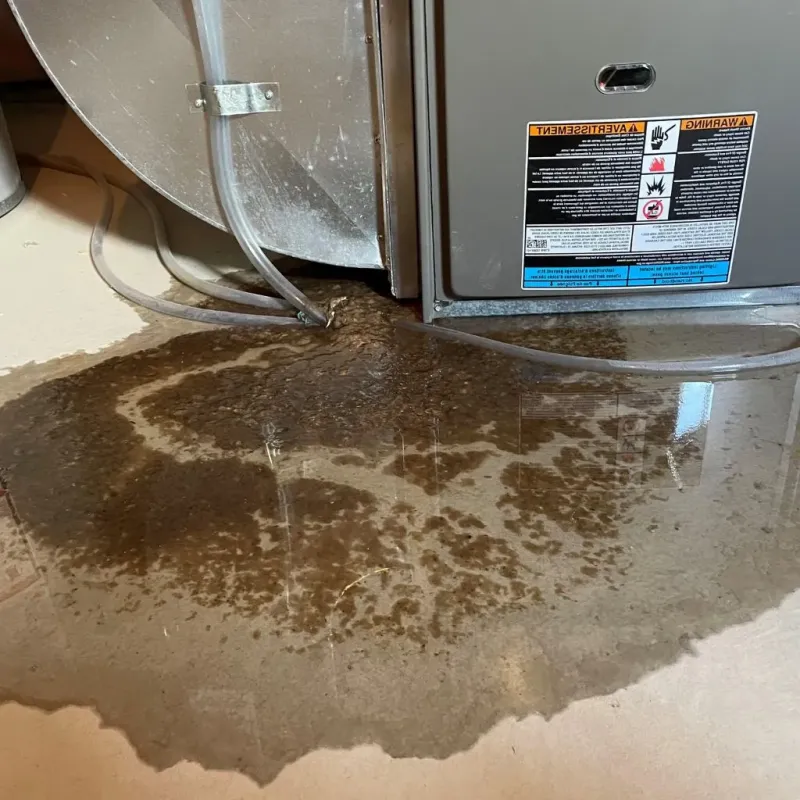 Pipe Burst and Leak Restoration in Nixa, MO